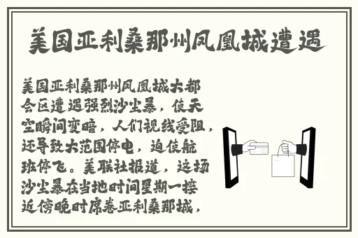 华裔董小宛av
